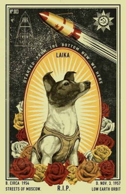Hình ảnh chú chó Laika