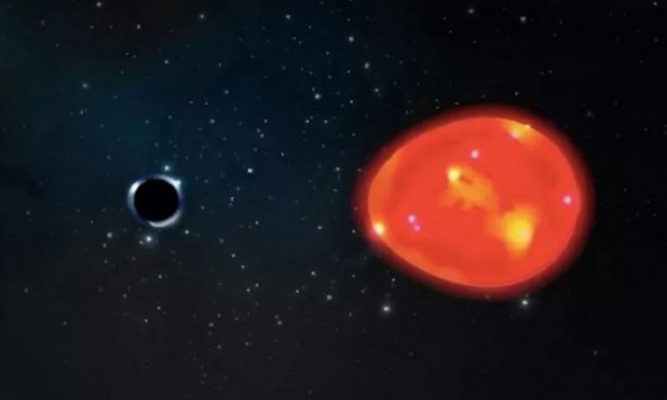 Mô phỏng hố đen "Kỳ lân" và sao khổng lồ đỏ trong hệ. Ảnh: Lauren Fanfer.